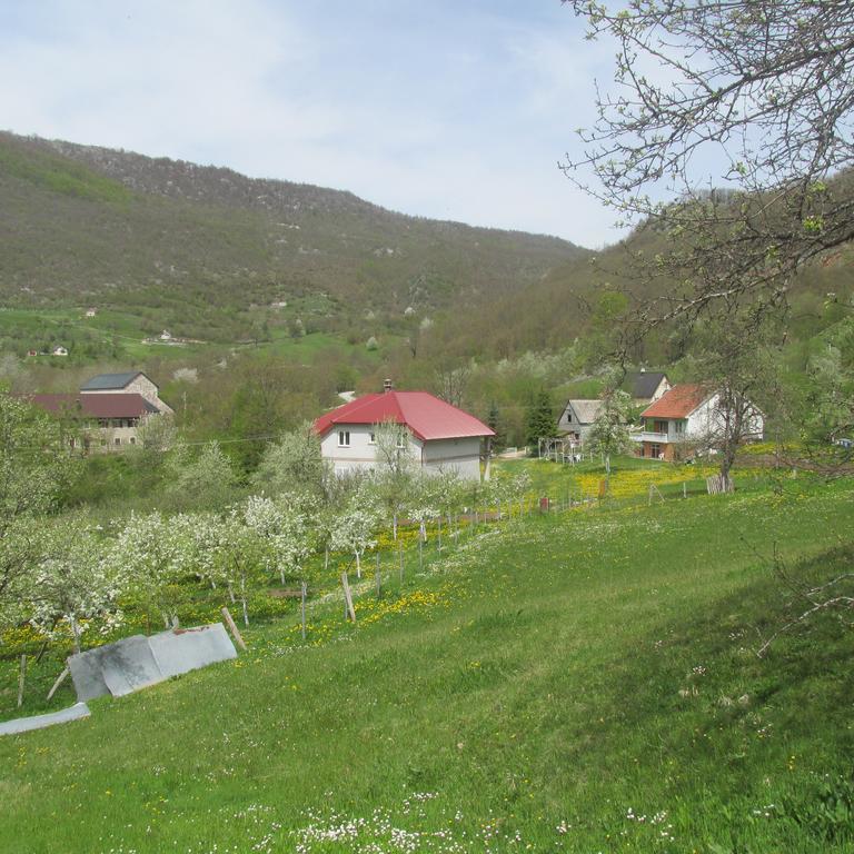 Apartment Mitric Plužine Exterior foto